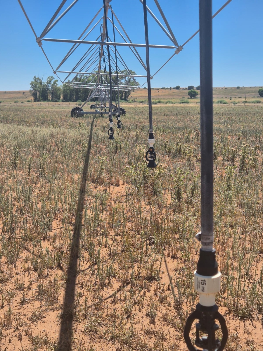 0 Bedroom Property for Sale in Edenburg Rural Free State